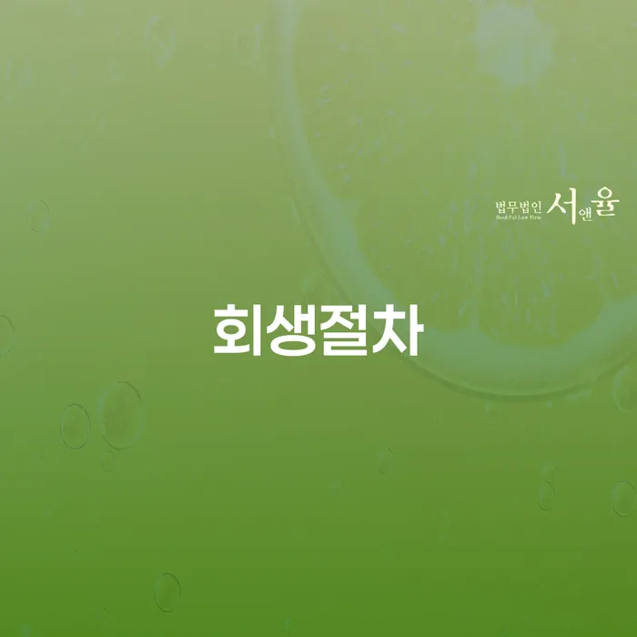 대출 연체 시 개인회생 문제해결방법 어떻게 진행되는지