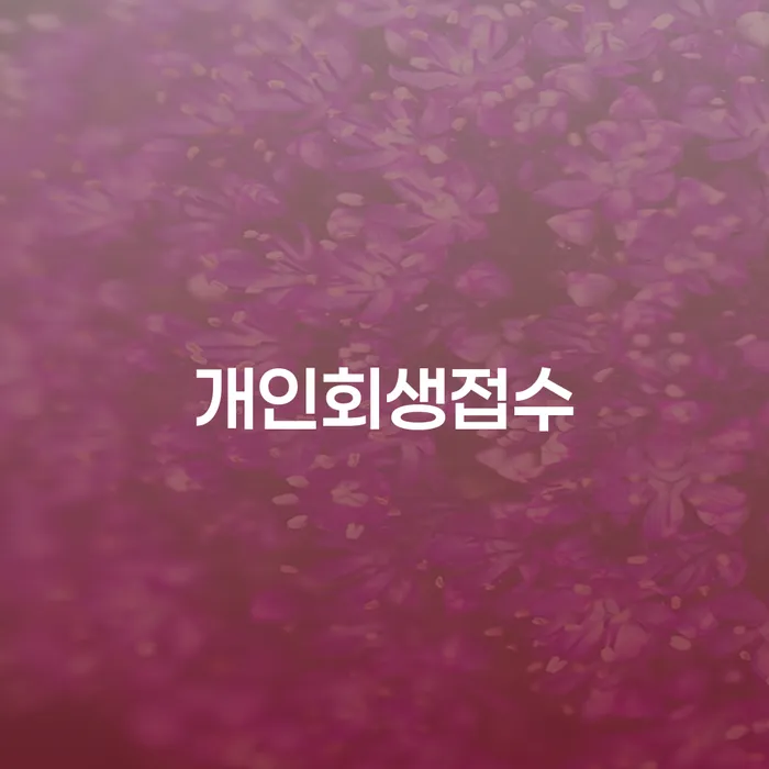 신용카드 연체 5일 개인회생 문제해결방법 살펴보고 있다면