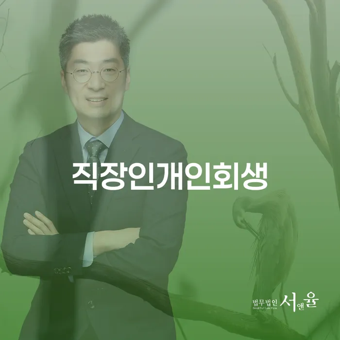 카드값 채무조정제도을 이용하여 적정한