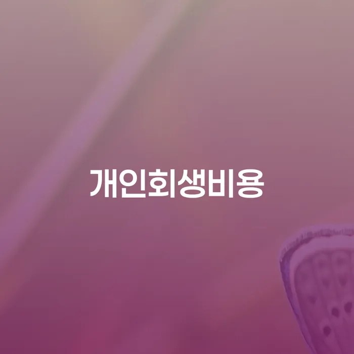 개인회생신청비용 저렴하고 개인파산 중요한정보