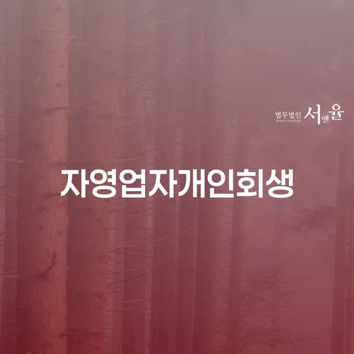 서울특별시 사업자회생 개인회생으로 해결 숙지하여
