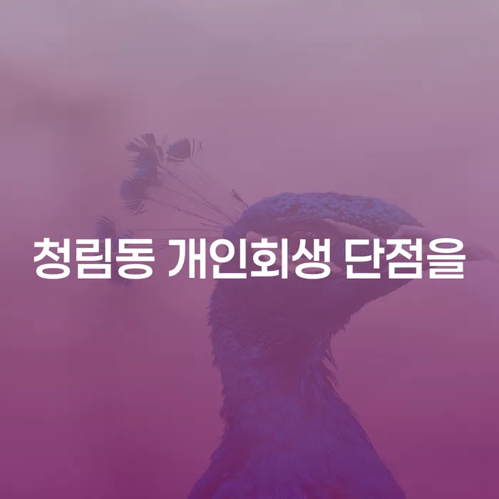청림동 개인회생 단점을