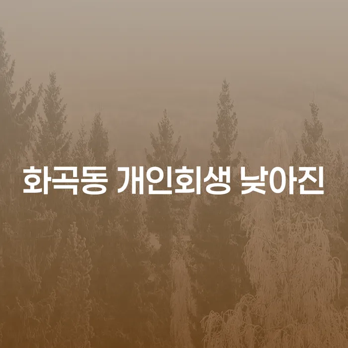 화곡동 개인회생 낮아진