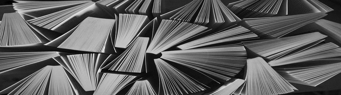 법무법인 서앤율