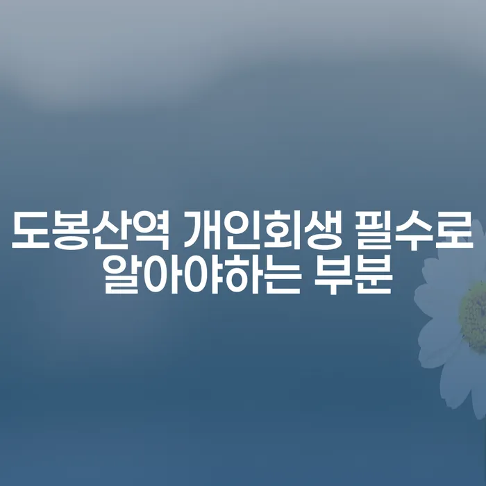 도봉산역 개인회생 필수로 알아야하는 부분