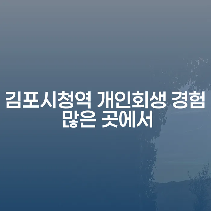 김포시청역 개인회생 경험 많은 곳에서