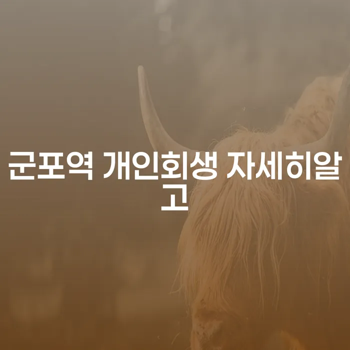 군포역 개인회생 자세히알고