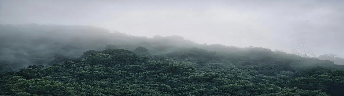 법무법인 서앤율