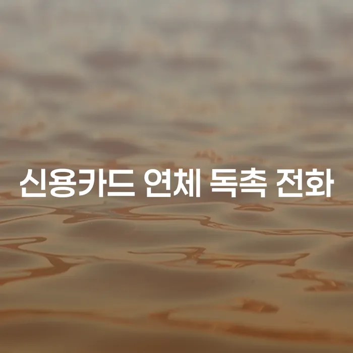 신용카드 연체 독촉 전화, 어떻게 대처해야 할까요?