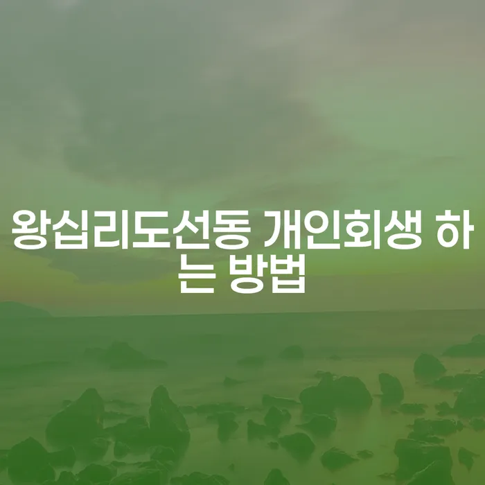 왕십리 도선동에서 개인회생 하는 방법은 무엇인가요?