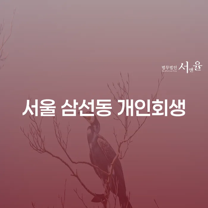 서울 삼선동 개인회생, 지금이 신청할 적기일까요?