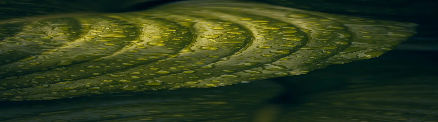 법무법인 서앤율