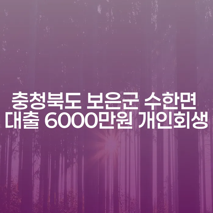 충청북도 보은군 수한면에서 6000만원 대출, 개인회생이 답일까요?
