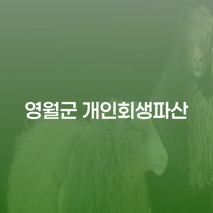 영월군 개인회생파산과 주택담보대출개인회생, 어떻게 해야 할까요?