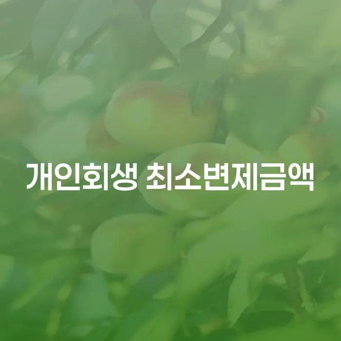 개인회생 최소변제금액과 통장압류, 어떻게 해결할 수 있을까요?