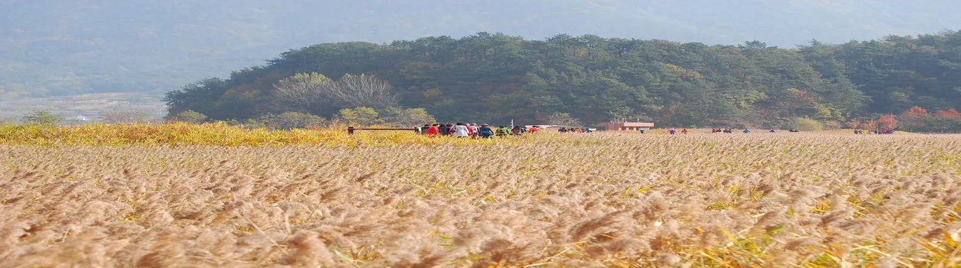 법무법인 서앤율